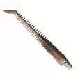 Strike Pro Pigster 10cm - Shads mit Schaufelschwanz - 173034003081 - 7