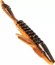 CWC Pigster Gecko - Schwimmende Weichköder - 1730030664 - 1